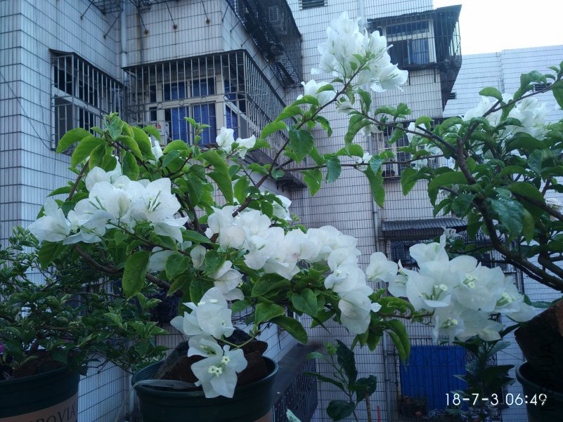 ΢��ͼƬ_20180703073403.jpg