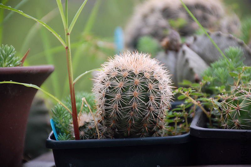 DSC_37310218.JPG
