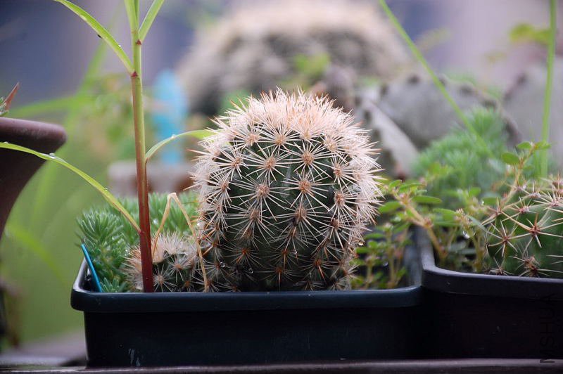 DSC_37270214.JPG