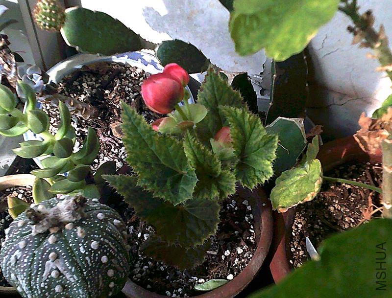 DSCF0004 (5)_����.jpg