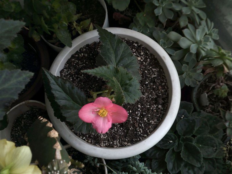 DSCF0002 (3)_����.jpg