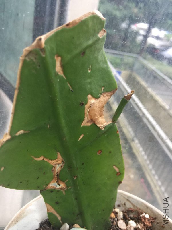 ΢��ͼƬ_20180705080954.jpg