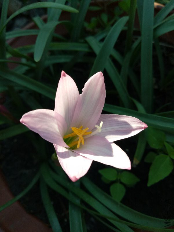 IMG20180629074517.jpg