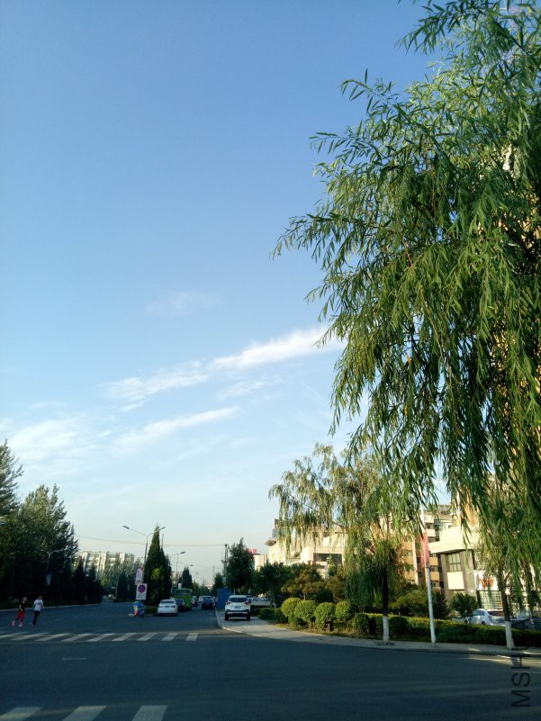 IMG20180629055601.jpg