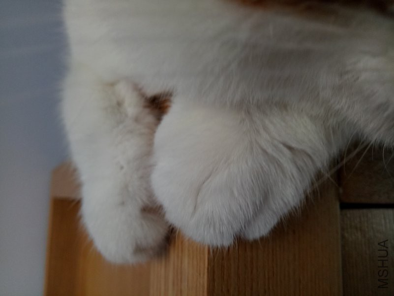 IMG20180629071057.jpg