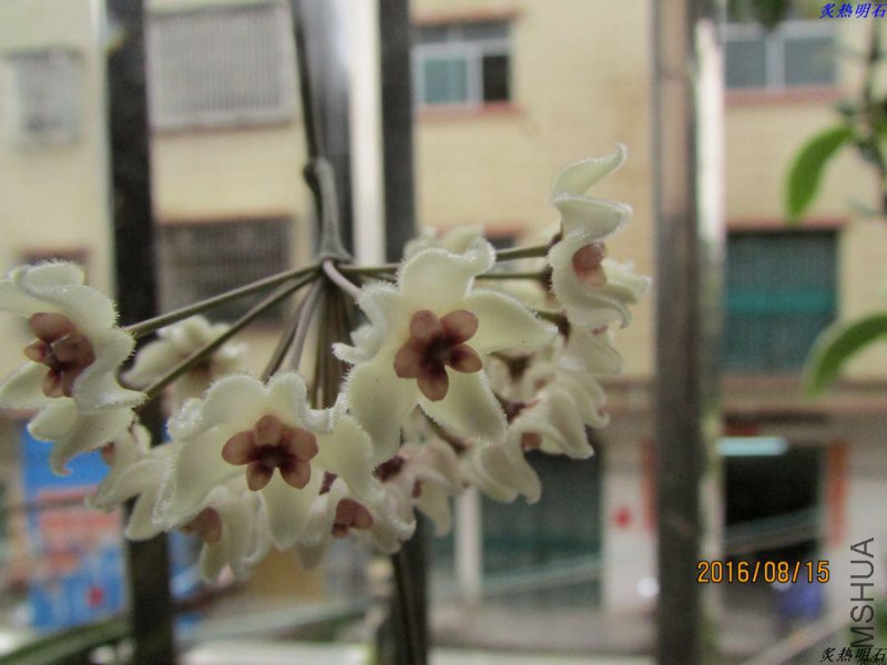 IMG_6335_nEO_IMG.jpg