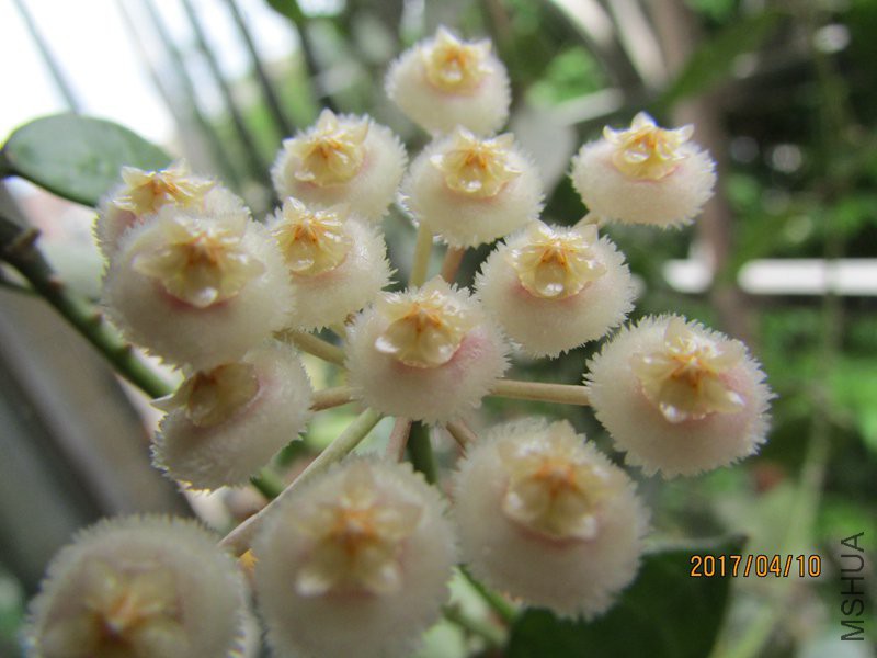 IMG_9385062.jpg