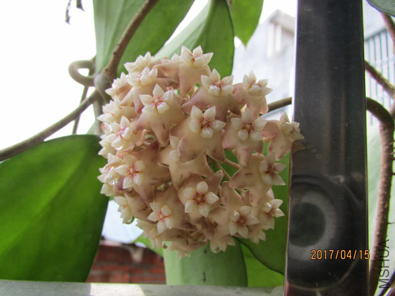 IMG_9586071.jpg