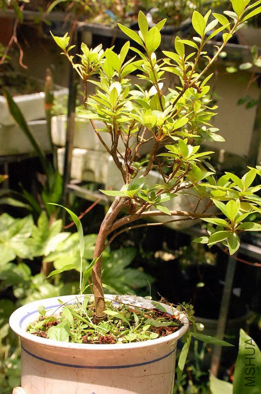 DSC_42870404.JPG