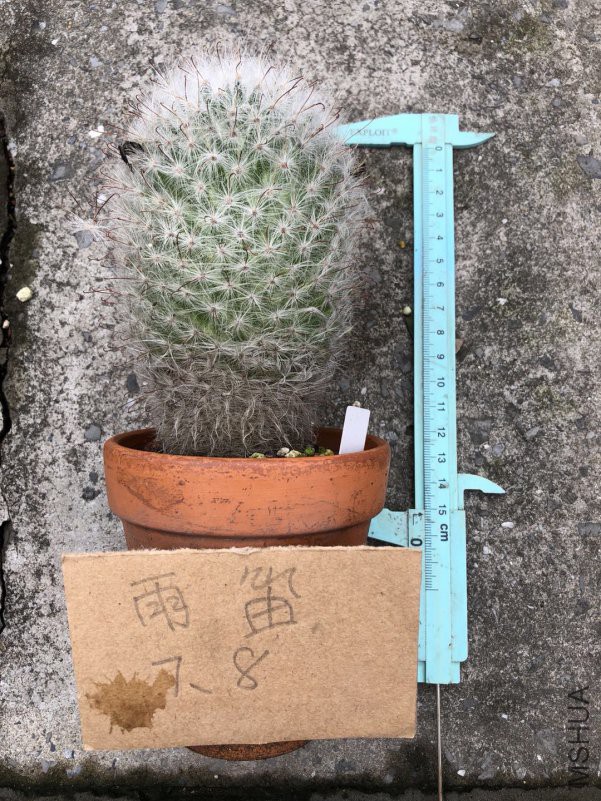 ���ε�2��