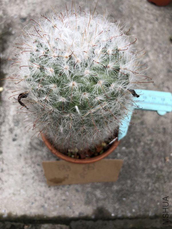 ���ε�2��