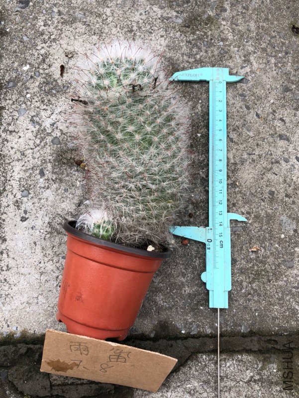 ���ε�3��