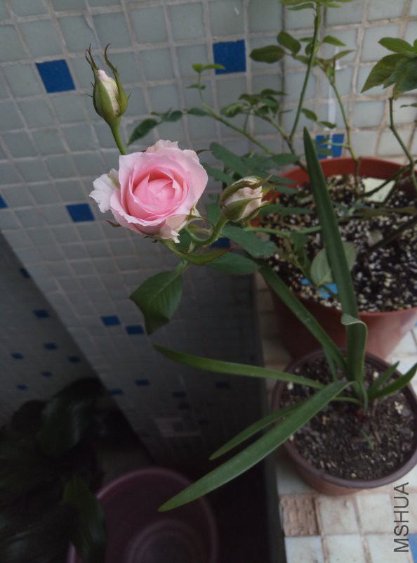 P80710-125350.jpg