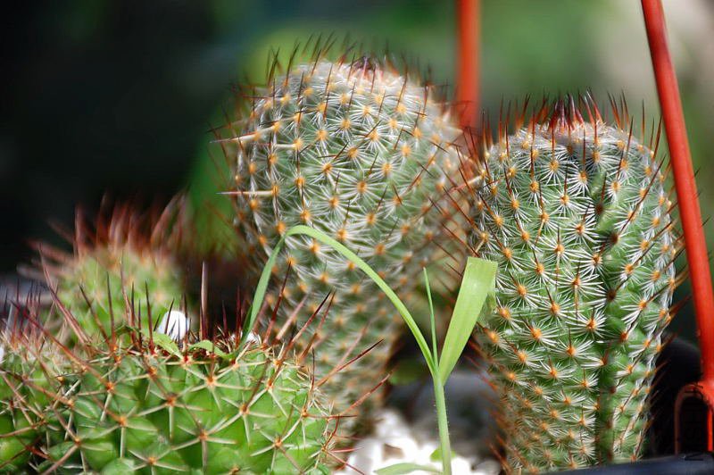 DSC_47670342.JPG