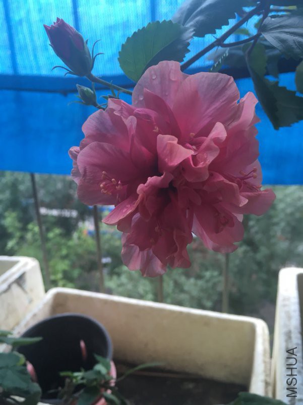 ΢��ͼƬ_20180714171813.jpg