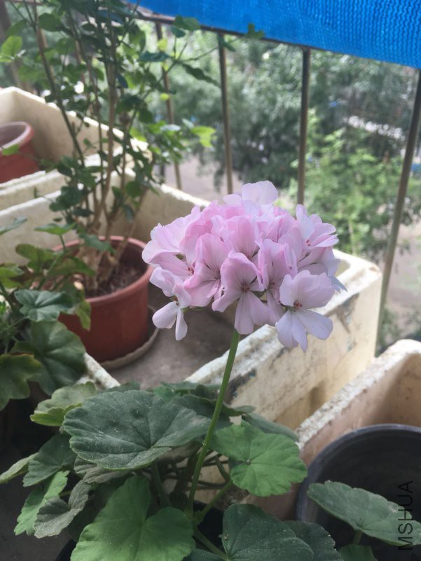 ΢��ͼƬ_20180714171820.jpg