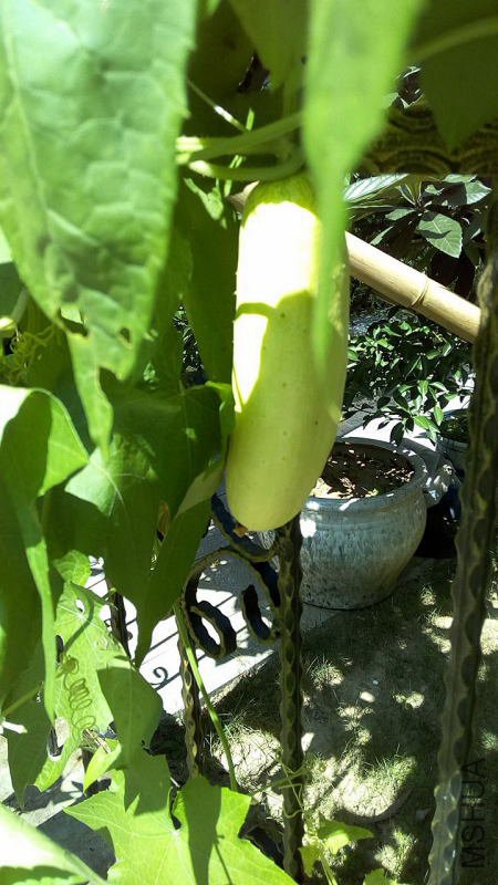 IMG_20180715_1426160009.JPG