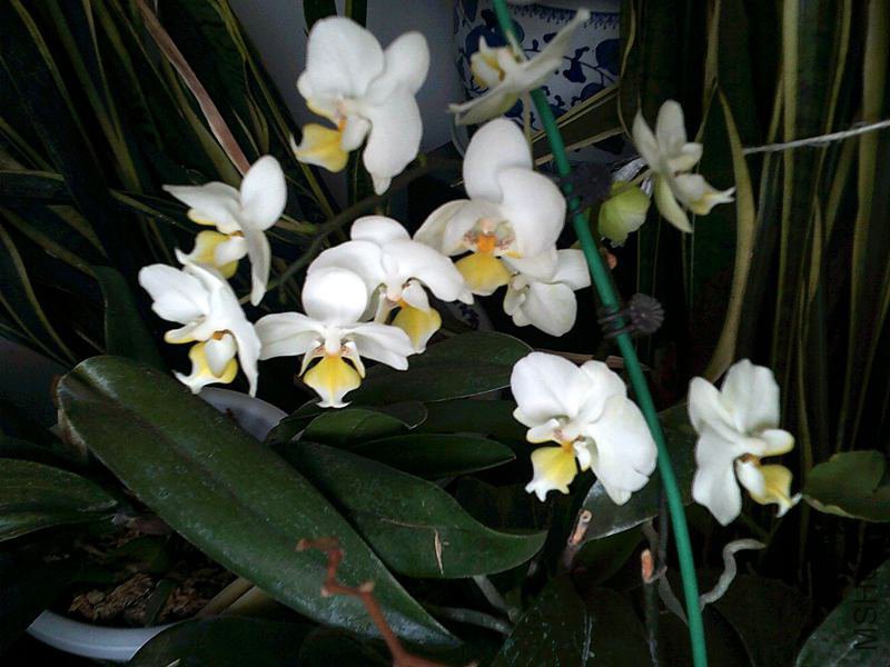 DSCF0011 (4)_����.jpg