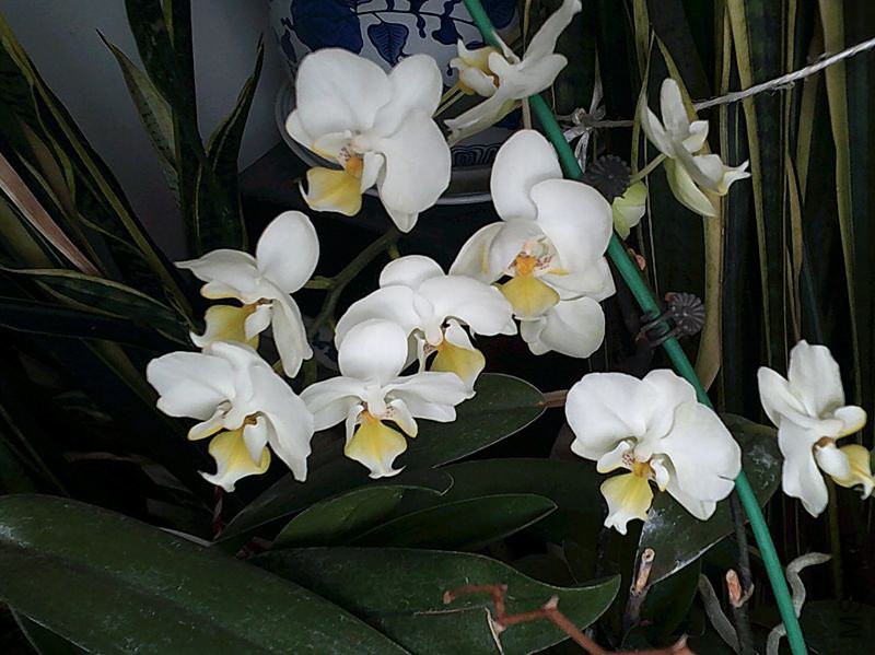 DSCF0012 (3)_����.jpg