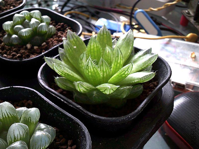 DSCF0002 (4)_����.jpg