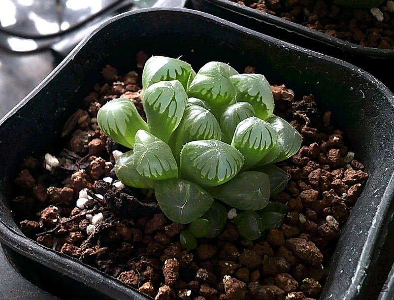 DSCF0004 (4)_����.jpg