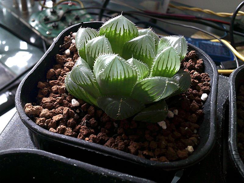 DSCF0005 (3)_����.jpg