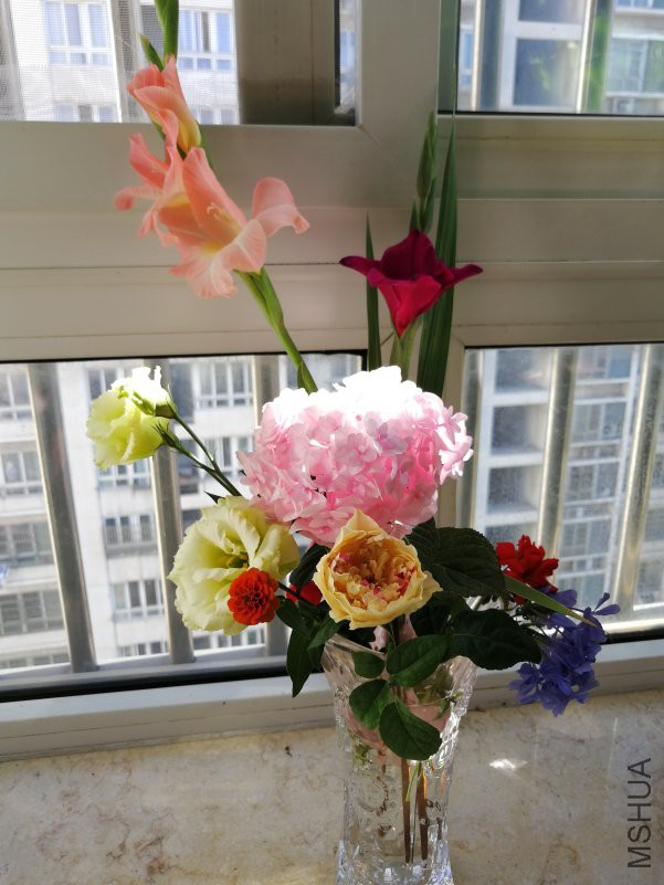 IMG_20180713_080936.jpg