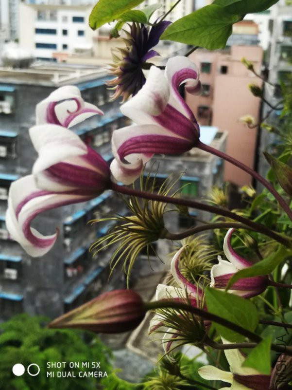 QQͼƬ20180717204601.jpg