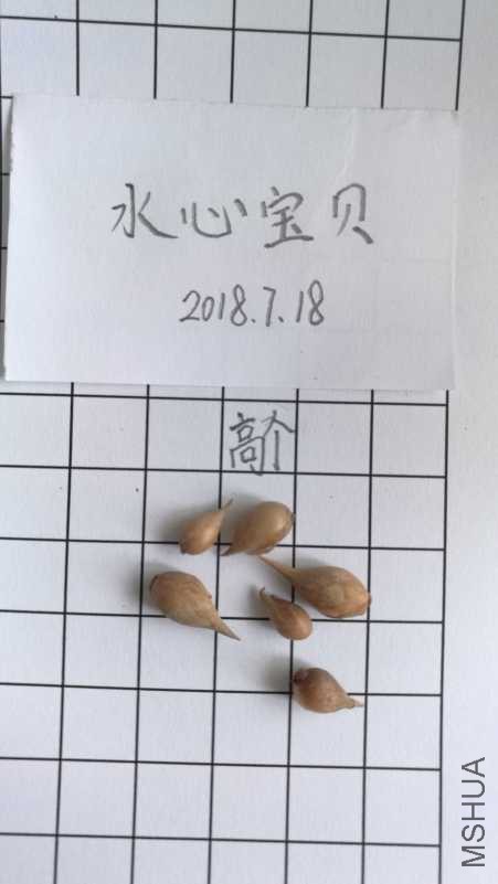 IMG_20180718_101454.jpg