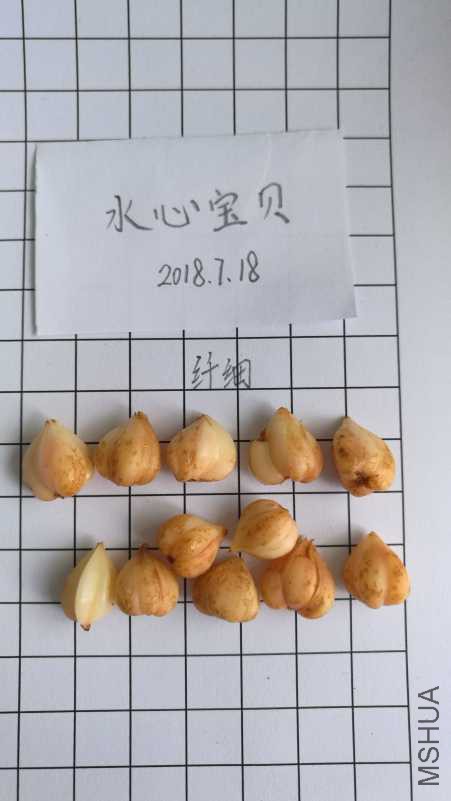 IMG_20180718_101915.jpg