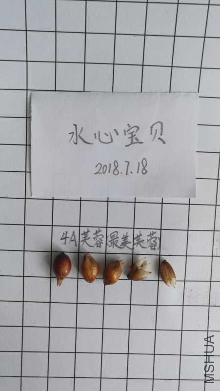 IMG_20180718_102412.jpg