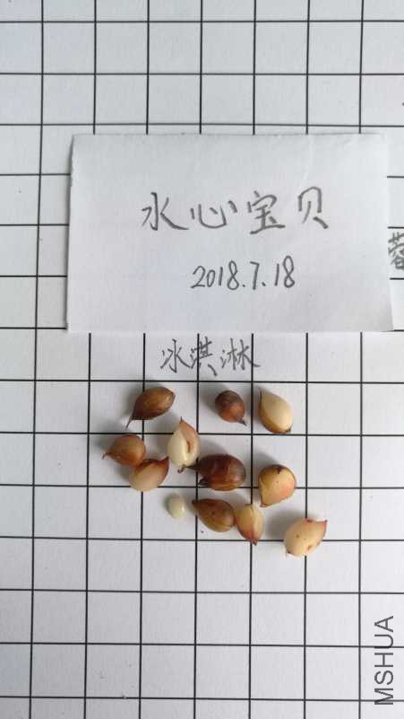 IMG_20180718_102730.jpg