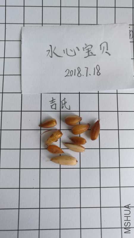 IMG_20180718_103014.jpg