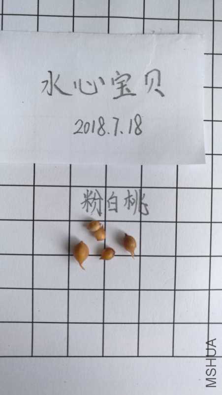 IMG_20180718_103724.jpg
