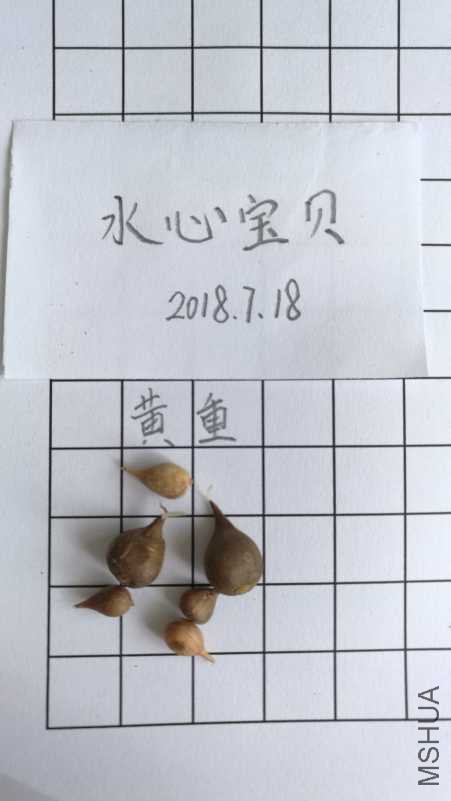 IMG_20180718_104442.jpg