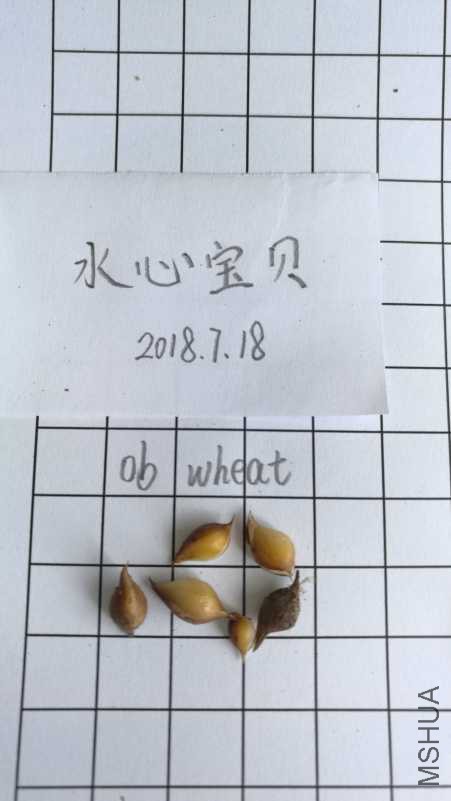 IMG_20180718_104741.jpg