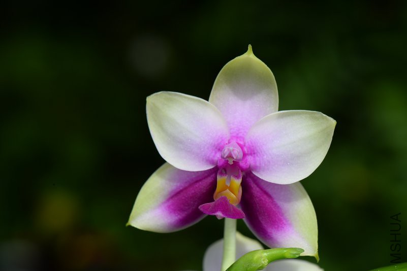 DSC_5394.JPG