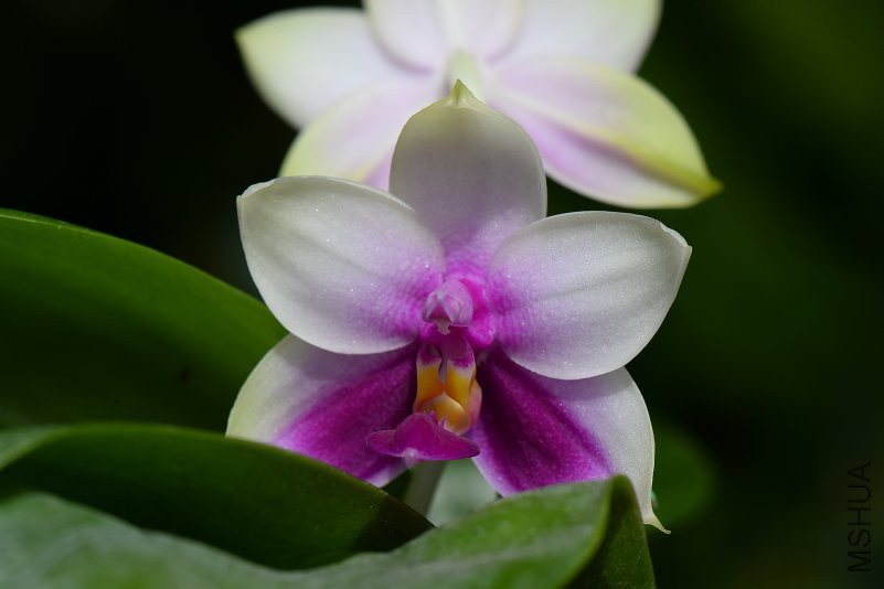 DSC_5399.JPG