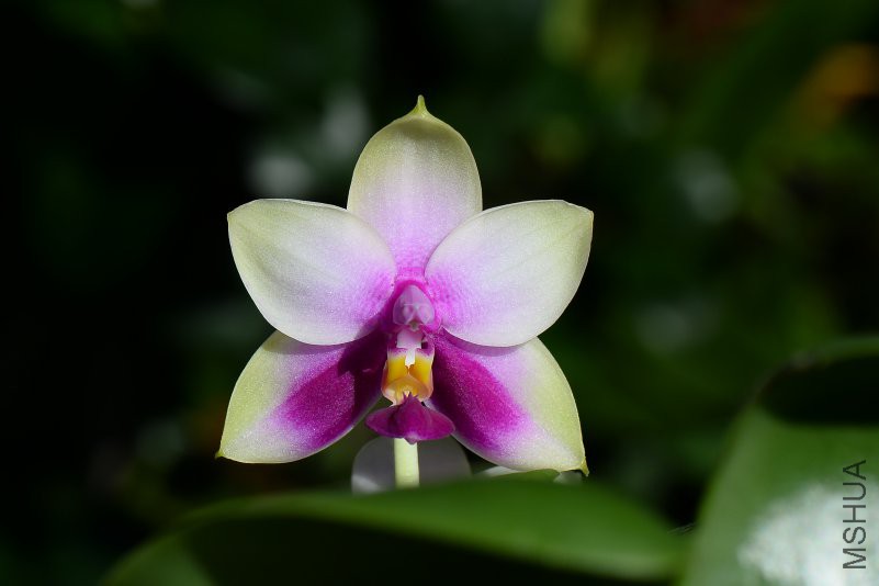 DSC_5694.JPG