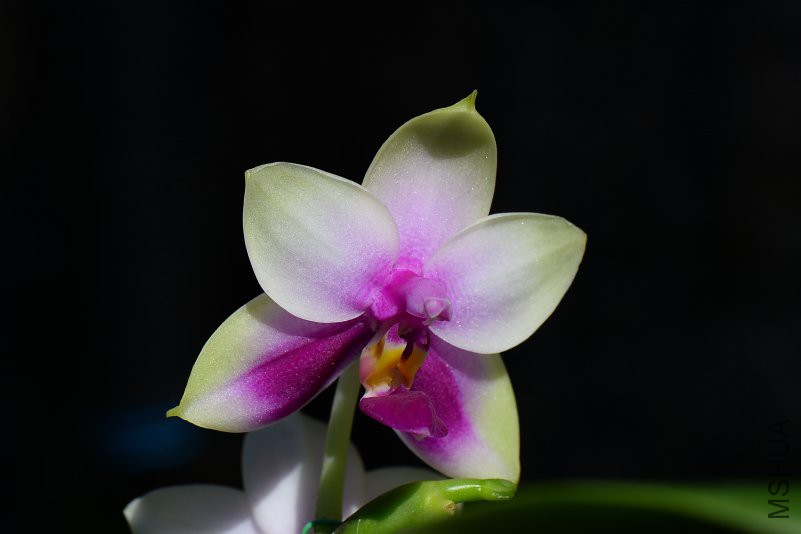DSC_5699.JPG