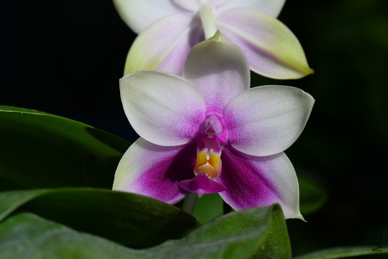 DSC_5710.JPG