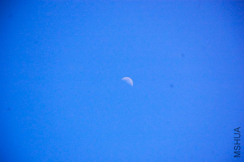 DSC_62010001.JPG