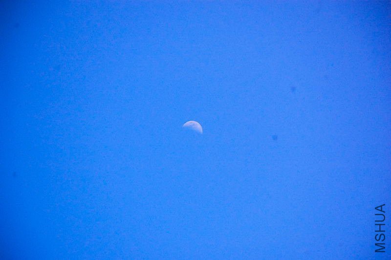 DSC_62100010.JPG