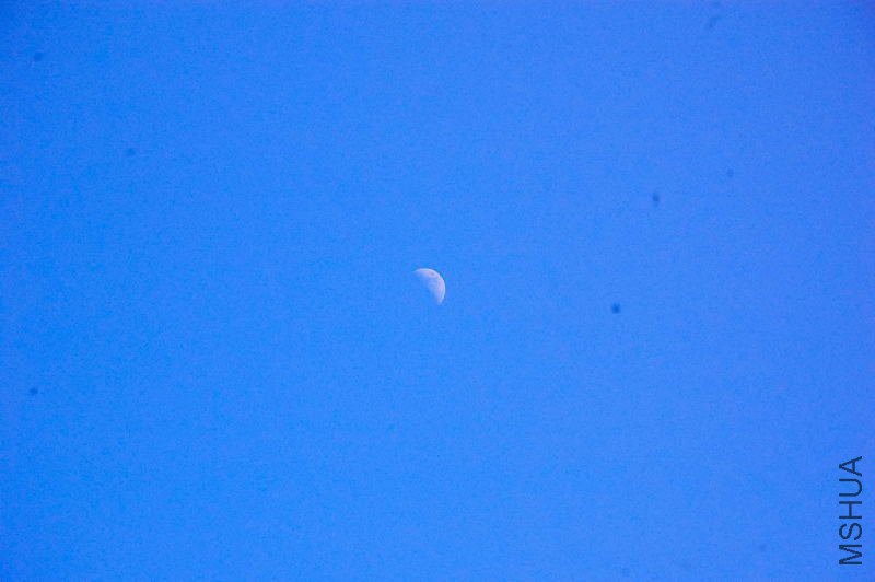 DSC_62080008.JPG