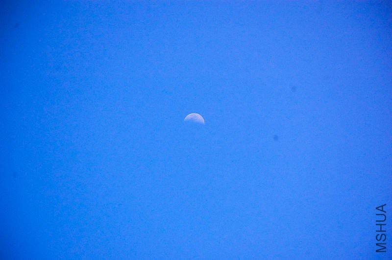 DSC_62060006.JPG