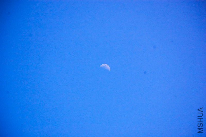 DSC_62110011.JPG