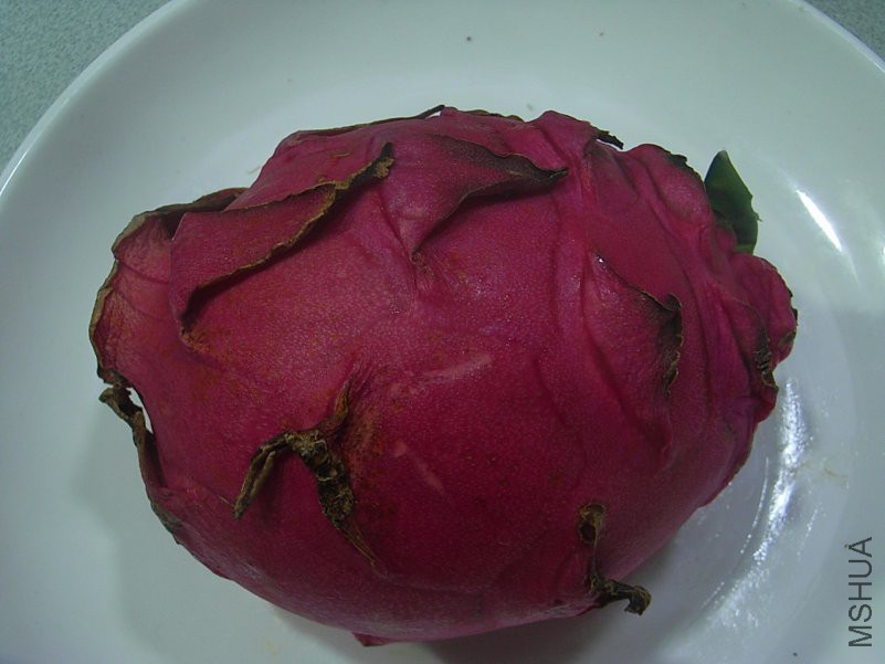 R9299006.JPG