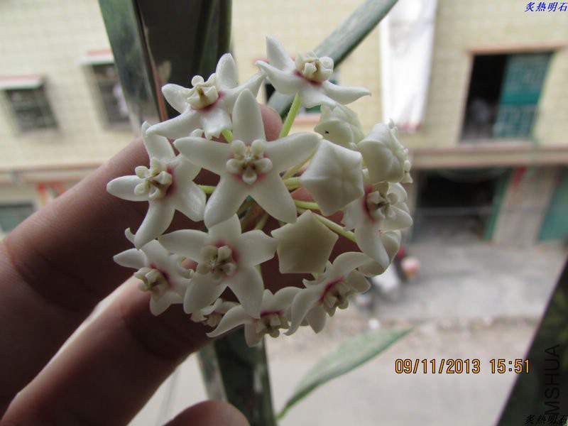 IMG_0079_nEO_IMG.jpg
