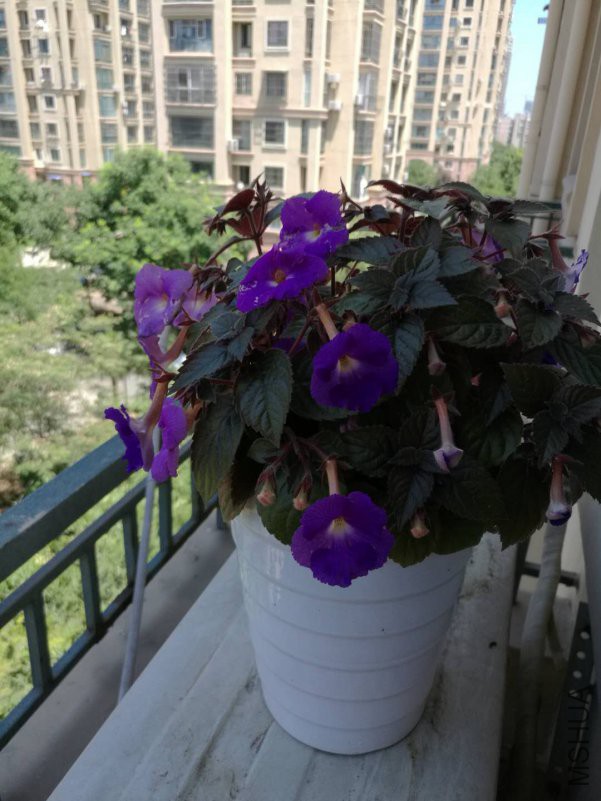 ΢��ͼƬ_20180724172950.jpg