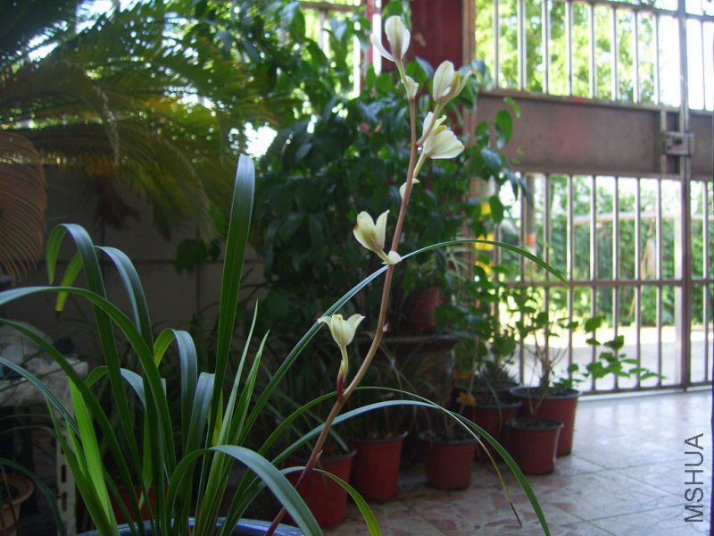 SV109417.JPG